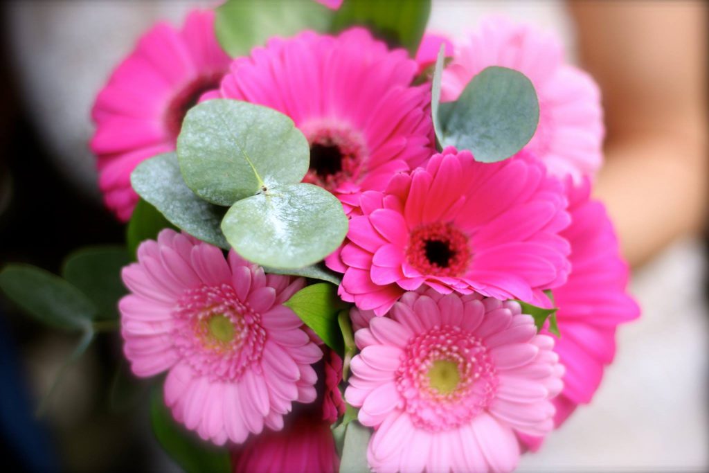 Pink Bouquet